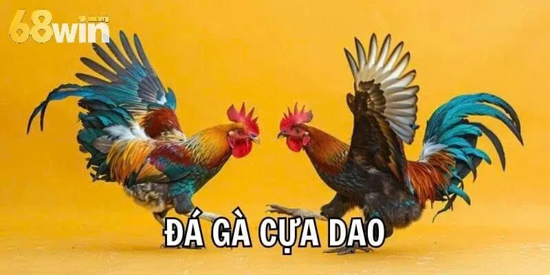 Những ưu điểm của đá gà cựa dao