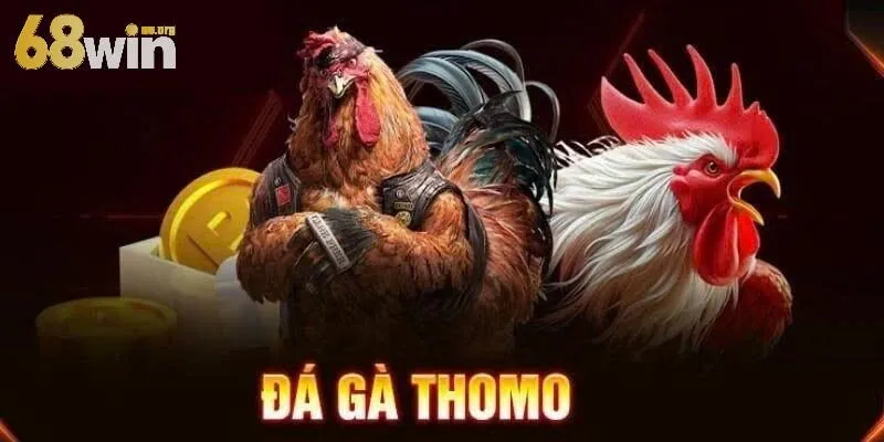 Sơ lược về đá gà thomo 68win